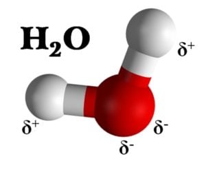 Immagine su sfondo bianco della molecola di acqua con un atomo di ossigeno in rosso e due di idrogeno in bianco con scritta nera H 2 O