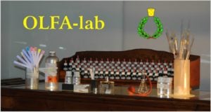 Piccole bottiglie di Oli Essenziali su un mobile di legno, flaconeria metallica, colori e profumi