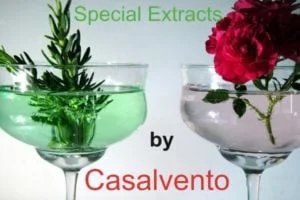 Due bicchieri di vetro con fiori aromatici